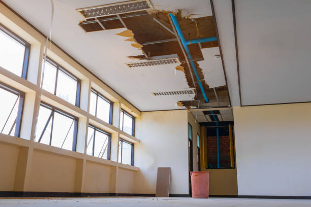 Best 24/7 water damage repair  in Mountain City, GA
