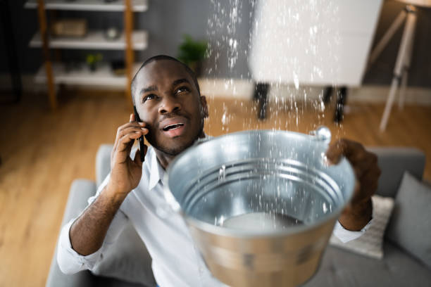 Best Water damage restoration insurance claims  in Mountain City, GA