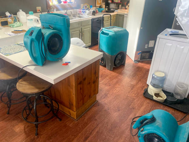 Mountain City, GA Water damage restoration Company