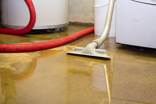 Reliable Mountain City, GA Water damage restoration Solutions