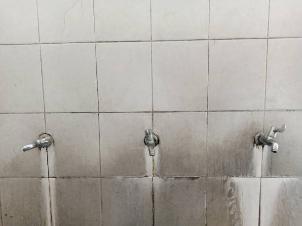 Best Flooded house restoration  in Mountain City, GA