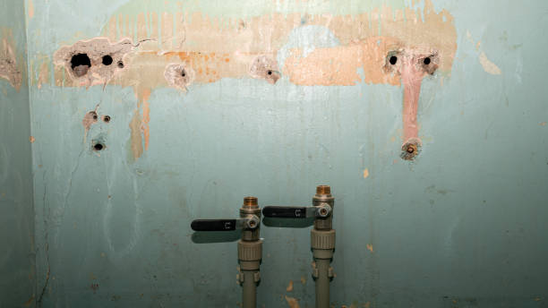 Best Mold removal after water damage  in Mountain City, GA