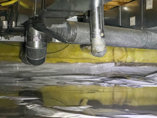 Best Water damage restoration near me  in Mountain City, GA