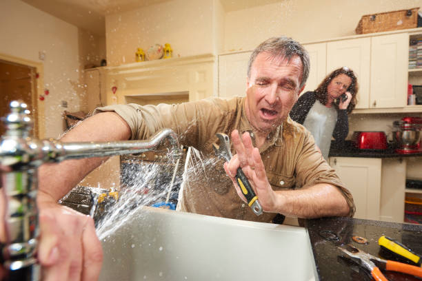 Best Flood restoration services  in Mountain City, GA